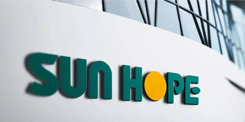 12.2億美元 強(qiáng)磁場 大閔行又簽下6個外資大項(xiàng)目